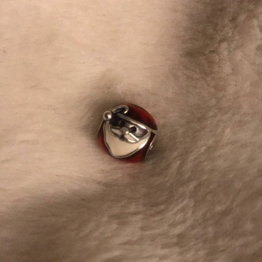 Pandora holiday charm